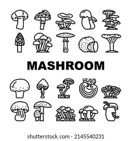 Mushroom Vegetable And Fungus Icons Set Vector. Shitake And Porcini, Morel And Toadstool, Fungi And Amanita Mushroom. Delicious Natural And Vitamin Champignon And Truffle Black Contour Illustrations