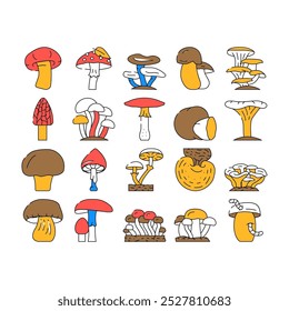 Ícones Vegetais E Fungos De Cogumelos Definem O Vetor. Shitake E Porcini, Morel E Toadstool, Fungos E Cogumelo Amanita. Deliciosas Natural E Vitamina Champignon E Truffle Ilustrações De Contorno De Cor