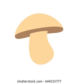 mushroom vegetable natural