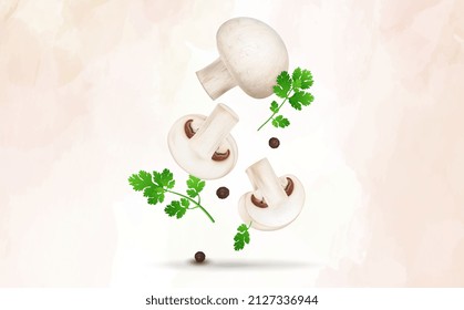 Mushroom vegetable with mushroom slices vector illustration with coriander leaves