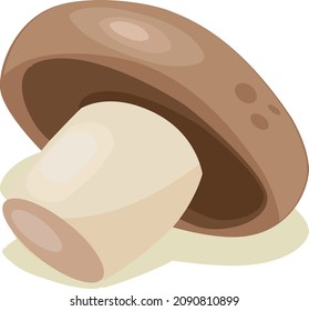 mushroom vegetable. vector illustration. healthy fresh and sweet food and fruit design.