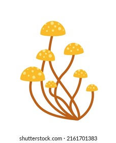 Mushroom. Venomous orange mushrooms. Cartoon, flat. Isolated vector illustration eps