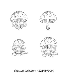 mushroom vintage farm logo vector illustration design, tattoo mushroom vintage logo ,champignon mushroom vintage logo, icon and symbol, vector illustration design