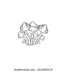 mushroom vintage farm logo vector illustration design, tattoo mushroom vintage logo ,champignon mushroom vintage logo, icon and symbol, vector illustration design