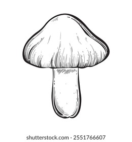 Mushroom vintage style. Hand drawn and isolated on monochrome background. Perfect for vintage or magical designs. Vector illustration.