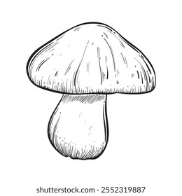 Mushroom vintage style. Hand drawn and isolated on monochrome background. Perfect for vintage or magical designs. Vector illustration.