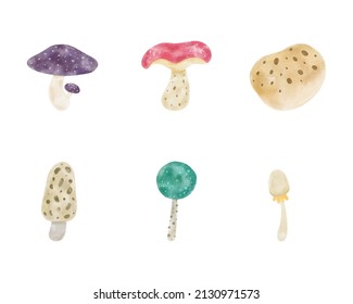 Mushroom watercolor illustration. Digital paint. Vector illustration.