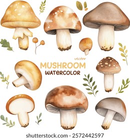 Mushroom Watercolor Illustration, Mushroom, leaf, Cozy Illustration | Vector