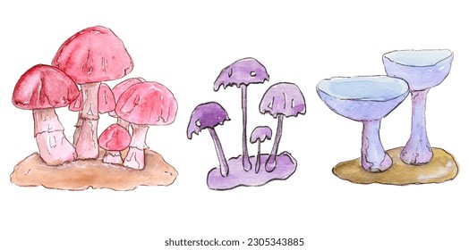 
mushroom watercolor painting set 1