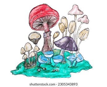 
mushroom watercolor painting set 5