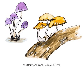 
mushroom watercolor painting set 6