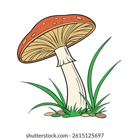 Mushroom in white background vector art illustration