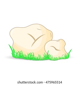 mushroom white truffle surround isolated white background with grass
