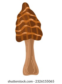 Mushroom. Wild forest mushroom in autumn. Vector Hand draw Illustration isolated on the white background. 