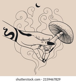 Mushroom in witch's hand. Vector hand drawn illustration