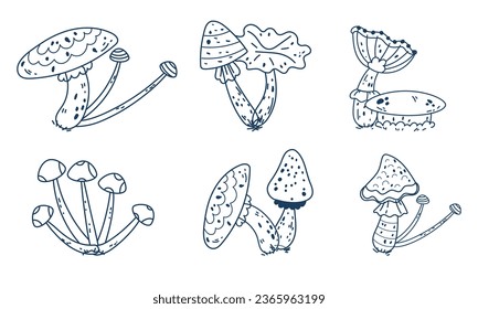 Mushroom witchy celestial magic outline moon forest boho mystical isolated set. Vector graphic design illustration