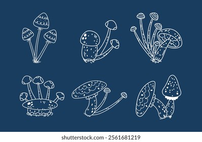 Mushroom witchy celestial magic outline moon forest boho mystical isolated set. Vector graphic design illustration