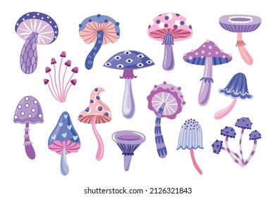 Mushroom witchy collection. Magic forest illustration