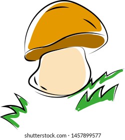 Mushroom in woods, illustration, vector on white background.