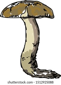Mushroom in woods, illustration, vector on white background.