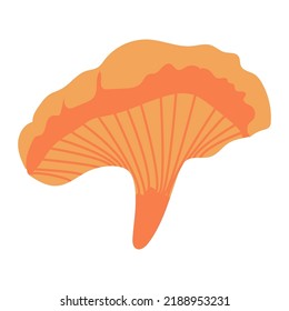 mushroom-chanterelle. Vector illustration isolated on white, flat style.