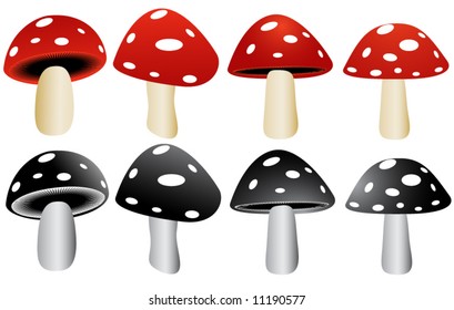 Mushrooms