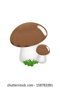  Mushrooms 