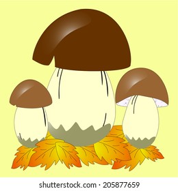 mushrooms