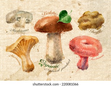 Mushrooms