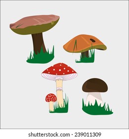 mushrooms