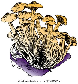 mushrooms