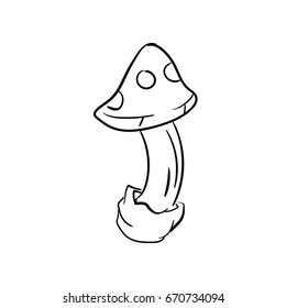 Mushrooms