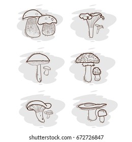 Mushrooms