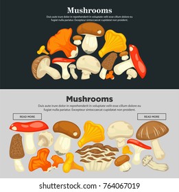 Mushrooms of all species on Internet promotional poster