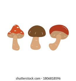 Mushrooms. Amanita, boletus, porcini mushroom. Autumn vector isolated illustration on a white background. Hand drawn