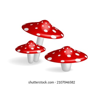 Mushrooms amanita or fly agaric. Poisinous toadstool with red cap and white spots