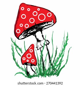 Mushrooms amanita toadstool pair couple sketch isolated vector