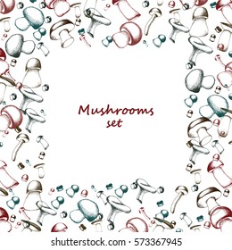 Mushrooms arranged in frame