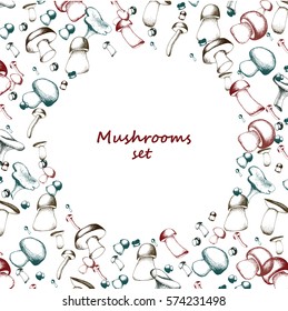 Mushrooms arranged in frame