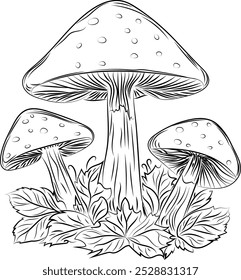 Mushrooms. Autumn. Fly agarics. Coloring. Line art.