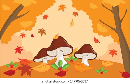 mushrooms in the autumn meadow