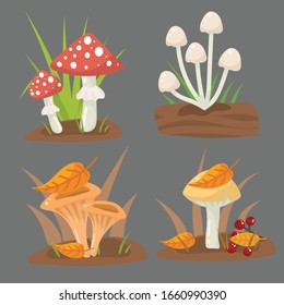 Mushrooms in the autumn meadow