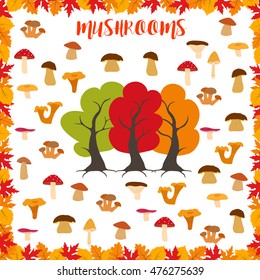 Mushrooms, autumn pattern, frame made of leaves. Vector illustration.