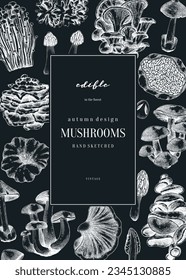 Mushrooms background. Forest mushrooms frame, card design on chalkboard. Fungi, healthy food, vegan product sketches. Hand-drawn vector illustration. Engraved style design template