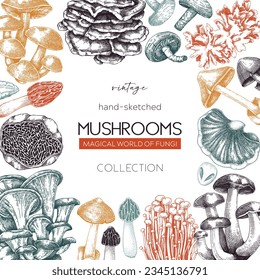 Mushrooms background. Forest mushrooms frame, card design in color Fungi, healthy food, vegan product sketches. Autumn hand-drawn vector illustration. Engraved style design template