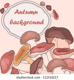 Mushrooms  background. Vector food backdrop