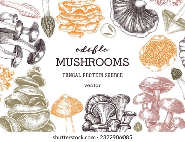 Mushrooms banner. Autumn forest plant frame in color. Fall background with edible fungi sketches. Healthy food, fungal protein, stalks, and caps in engraved style. Hand-drawn botanical illustration