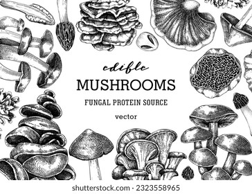 Mushrooms banner. Autumn forest plant frame.  Fall background with edible fungi sketches. Healthy food, fungal protein, stalks, and caps in engraved style. Hand-drawn botanical illustration