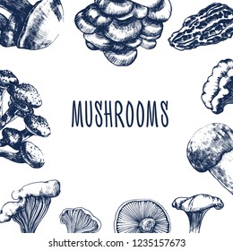 mushrooms banner ,ginger , chanterelle ,honey agaric, boletus,shiitake , engraved style ,vector illustration isolated on white background