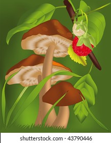 mushrooms and berries